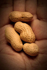 peanuts on a hand