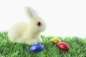 Bunny and Easter Eggs on Grass