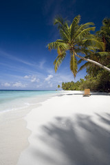 Beach chair under palm tree, Maldives