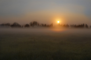 Morning Ground Fog