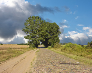 Road to the Future
