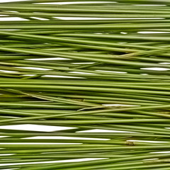 green grass straws