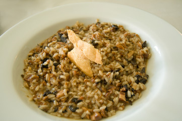 Mushroom Risotto with cookie cheese