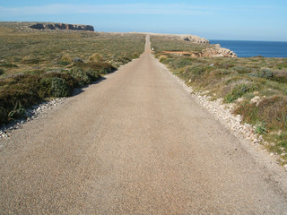 Camino