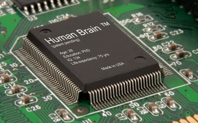 solid state brain