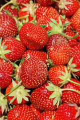 Strawberry background