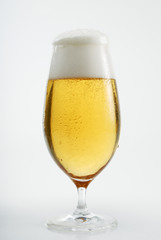 Bier