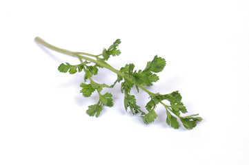Parsley