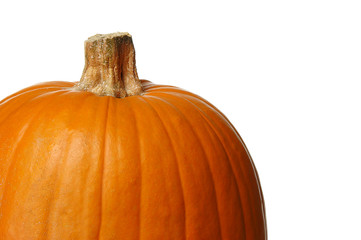 Pumpkin close up