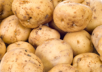 fresh potatoes