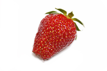 Erdbeere
