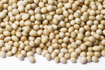 soy bean