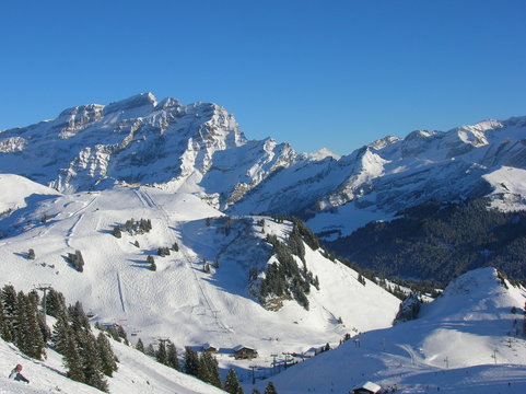 Vue sur la Croix des Chaux, domaine de Villars sur Ollon