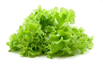 fresh lettuce