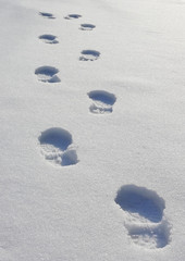 Impronte sulla neve