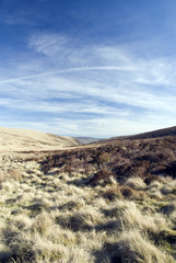 Lake Vyrnwy Nature Reserve. Wales
