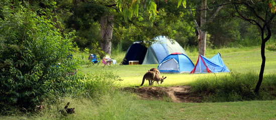 Camping in Australia © MV