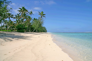 Tropical Beach