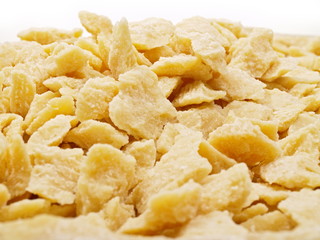 parmesan käse nahaufnahme