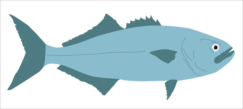 Pescado