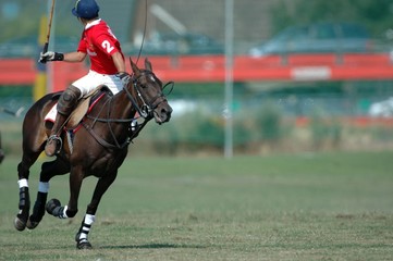 Polo Polospieler