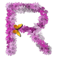 alphabetical letter forms pink daisy color consonant R