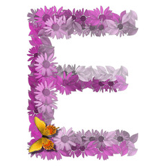 alphabetical letter forms pink daisy color vowel E