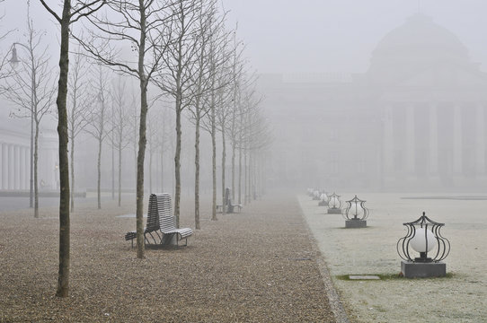 Weg im Morgennebel