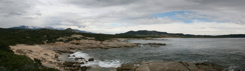 La teste Corse du sud