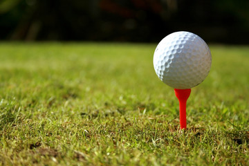 Golf Ball 1