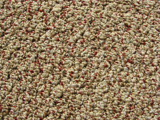 Berber carpet background 
