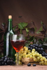 Obraz na płótnie Canvas Wine composition Red wine