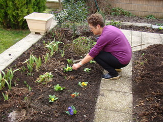 jardin