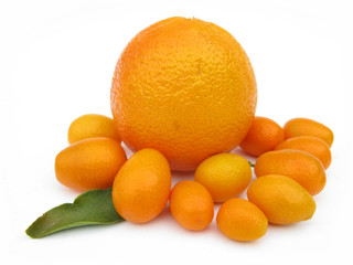 Orange and kumquats isolated on white background