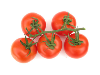 Tomatoes on branch