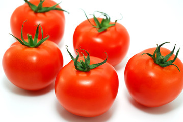 red tomatoes - view