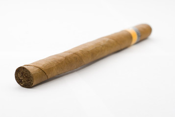 Cuban tobacco, isolated on white