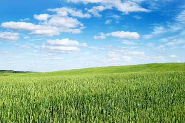 Obraz premium Landscape, blue sky and white clouds