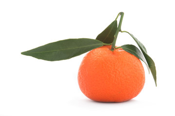 tangerine, sheet green