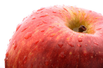 Macro red apple