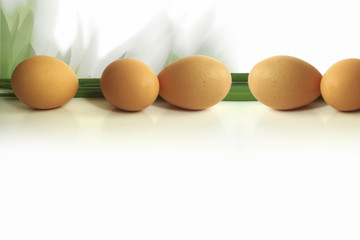eggs background