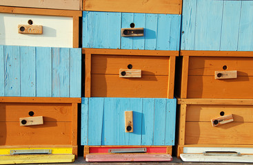 Brand new bee house