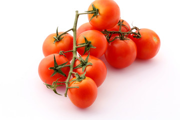 tomatoes