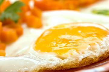 egg