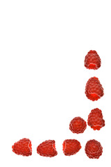 raspberry