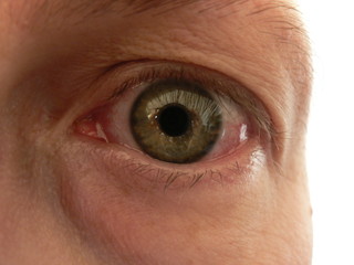 Red Eye 03