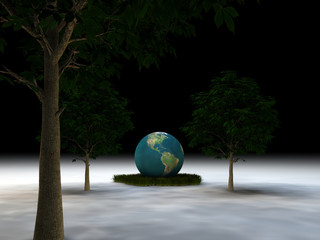 arbol 3 © juanjo