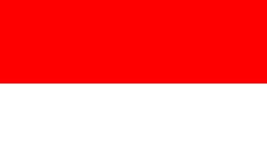 indonesian flag - obrazy, fototapety, plakaty