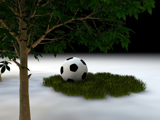 balon y hierba © juanjo