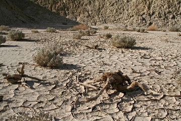 Death Valley - Dry ground